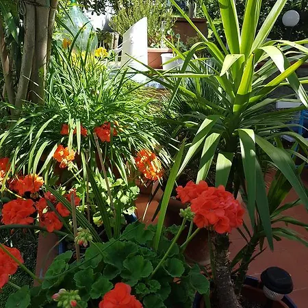 Appartement Casa Nel Chianti Da Norma