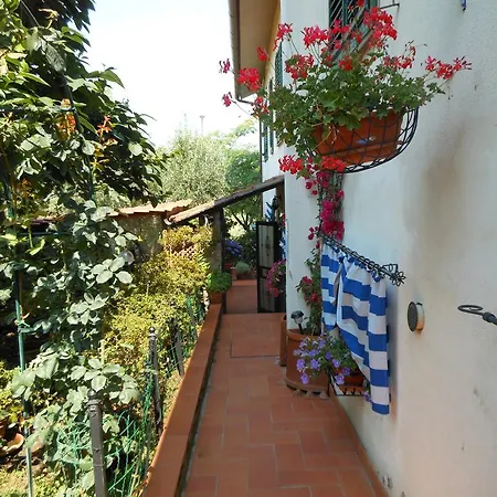 Apartment Casa Nel Chianti Da Norma Greve in Chianti