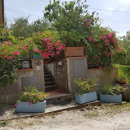 Apartment Casa Nel Chianti Da Norma Greve in Chianti