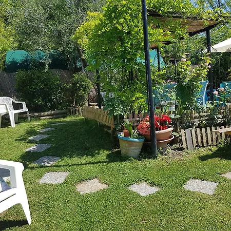 Apartment Casa Nel Chianti Da Norma Greve in Chianti